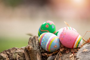 Joyeuses Pâques ! 